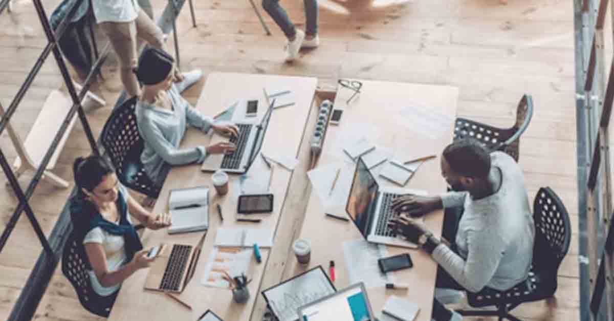 people working on laptops using office space management software